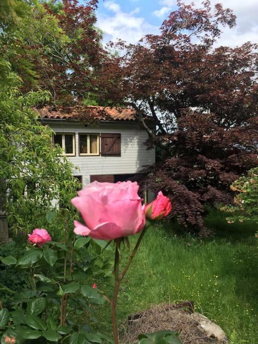 Villa Lerable Pourpre De La Grotte Au Lion à Arbon Extérieur photo