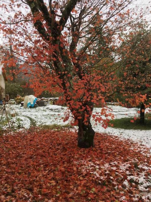 Villa Lerable Pourpre De La Grotte Au Lion à Arbon Extérieur photo